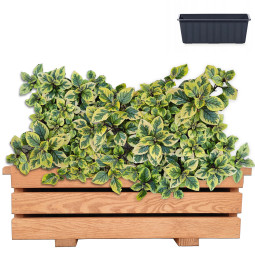 Kvalitní dřevěné květináče...