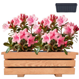 Terasový květináč vyrobený...