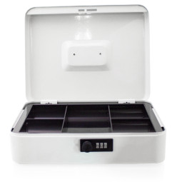 Světlá šedá kovová...