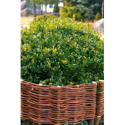 Zaoblená proutěná palisáda...