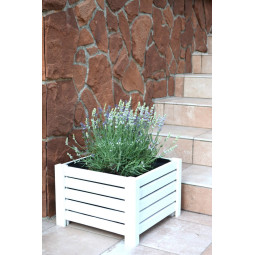 Květináč z borovicového...