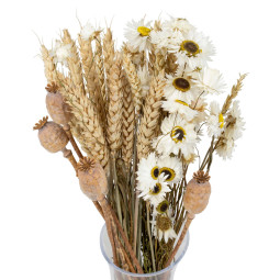 Kytice sušených květin...