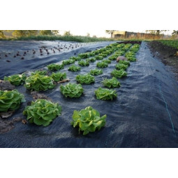 Praktická černá...