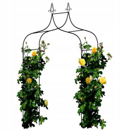 Zahradní pergola 150 x 37 x...