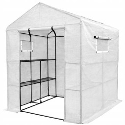 Fóliovník – zahradní...