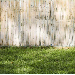 Kvalitní bambusová plot v...